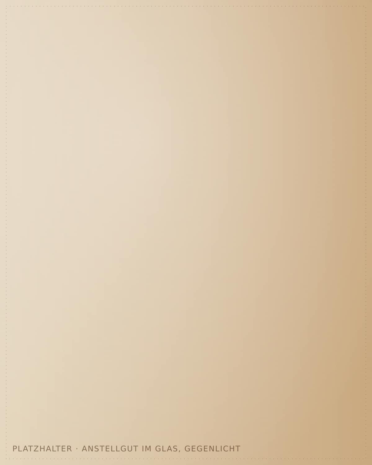 Anstellgut im Glas mit Blasenstruktur (Platzhalterbild)