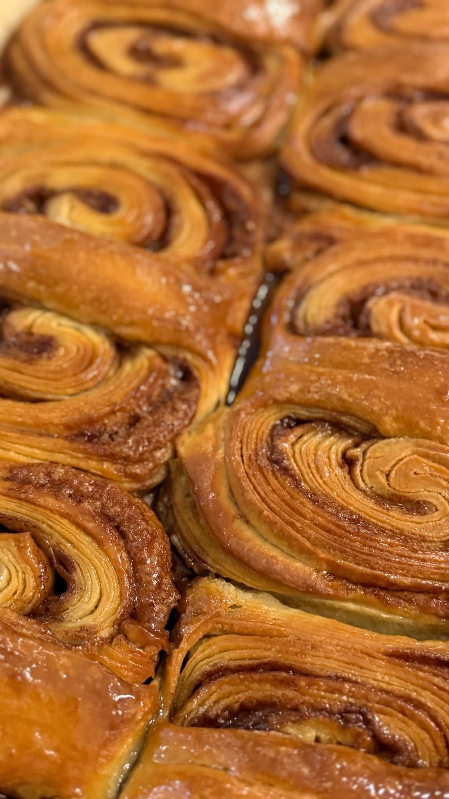 Frisch gebackene Schnecken dicht an dicht auf dem Blech